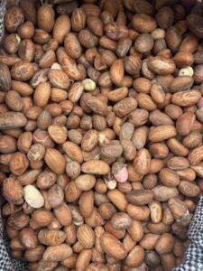 Bitter Kola export