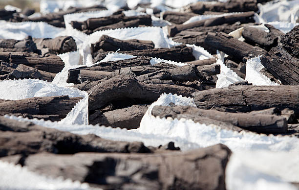 Charcoal (Hardwood)