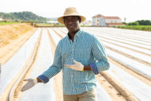 James Oluwafemi