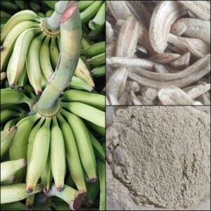 Plantain process