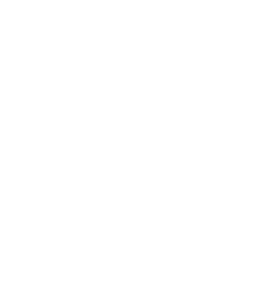 Transparent Export Process