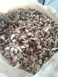 dried split ginger product-jpeg