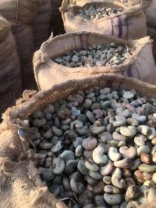 WhatsApp Image 2026-01-30 at 12.19.30 (1)